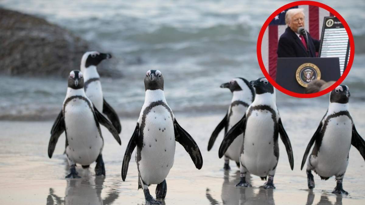 Las Islas Heard y McDonald están habitadas por pingüinos y focas, sin presencia humana.