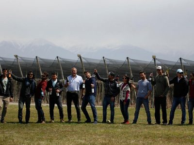 Productores Amigos, un grupo de bodegueros unidos por el amor al vino