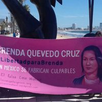 Grupo de la ONU celebra respuesta del gobierno mexicano al caso Brenda Quevedo