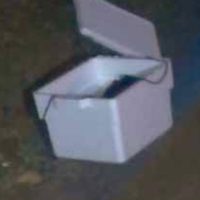 Dejan una cabeza en la vía pública en Michoacán