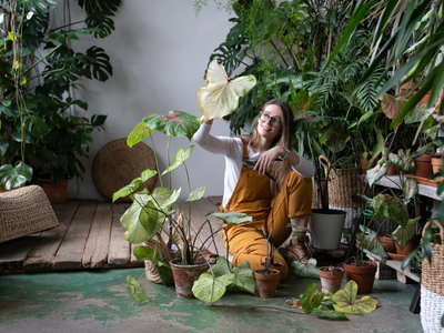 Así de fácil es crear un tutor rústico para que tus plantas trepadoras crezcan sanas y sin gastar dinero