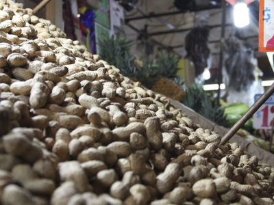 FDA aprueba primer fármaco que ayuda a reducir reacciones alérgicas a alimentos como el cacahuate