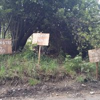 Siguen las tomas en Villa La Angostura: Una familia usurpó una parcela de un predio municipal