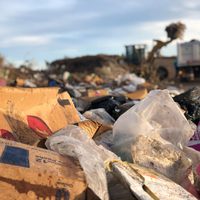 Neuquén Capital evalúa sanciones por tirar basura en la vía pública
