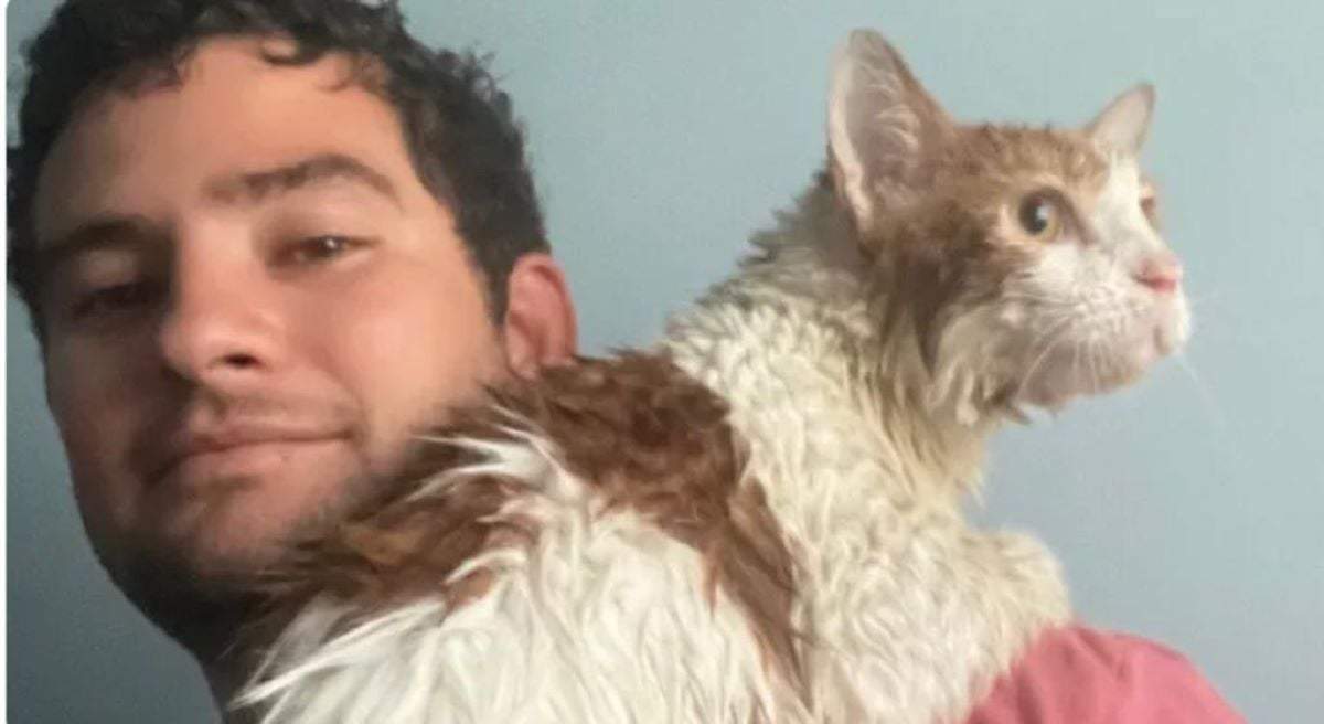 El gato se llamará Ian