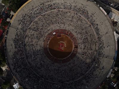 Si hay corrida de toros, habrá consecuencia: Tribunal ordena vigilar y sancionar el maltrato animal