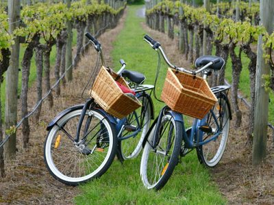 Proyectan el primer Bike Park en una bodega mendocina