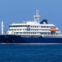 Hantavirus: expertos descartan riesgo de pandemia tras el brote detectado en un crucero