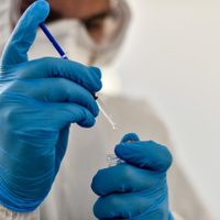 Unicef coordinará la compra y distribución de las vacunas contra covid-19