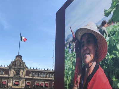La Noche de los Rábanos oaxaqueña, en el Zócalo capitalino