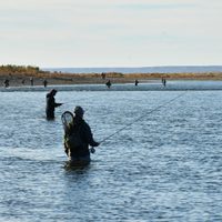 Llega el Tercer Torneo de Pesca con Mosca del Limay