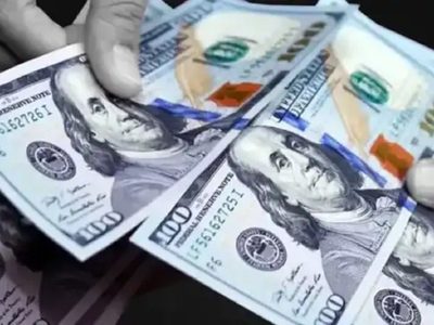 Dólar: el BCRA confirmó que seguirá restringido el acceso de las empresas al mercado cambiario