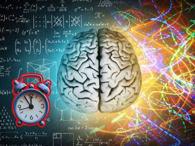 Cómo cambia el cerebro humano desde la infancia hasta la vejez, según la UNAM