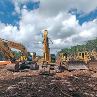 AMLO expropia 8 terrenos privados para obras del Tren Maya y decreta "ocupación temporal inmediata"