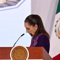 Sheinbaum justifica el sacrificio de 10 mil perros en Tecámac; "estaba en una norma"