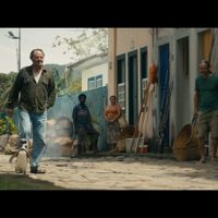 “Mi amigo el pingüino”, estreno en México y 40 países