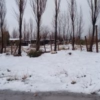 Importante: podrían volver las nevadas a Neuquén Capital