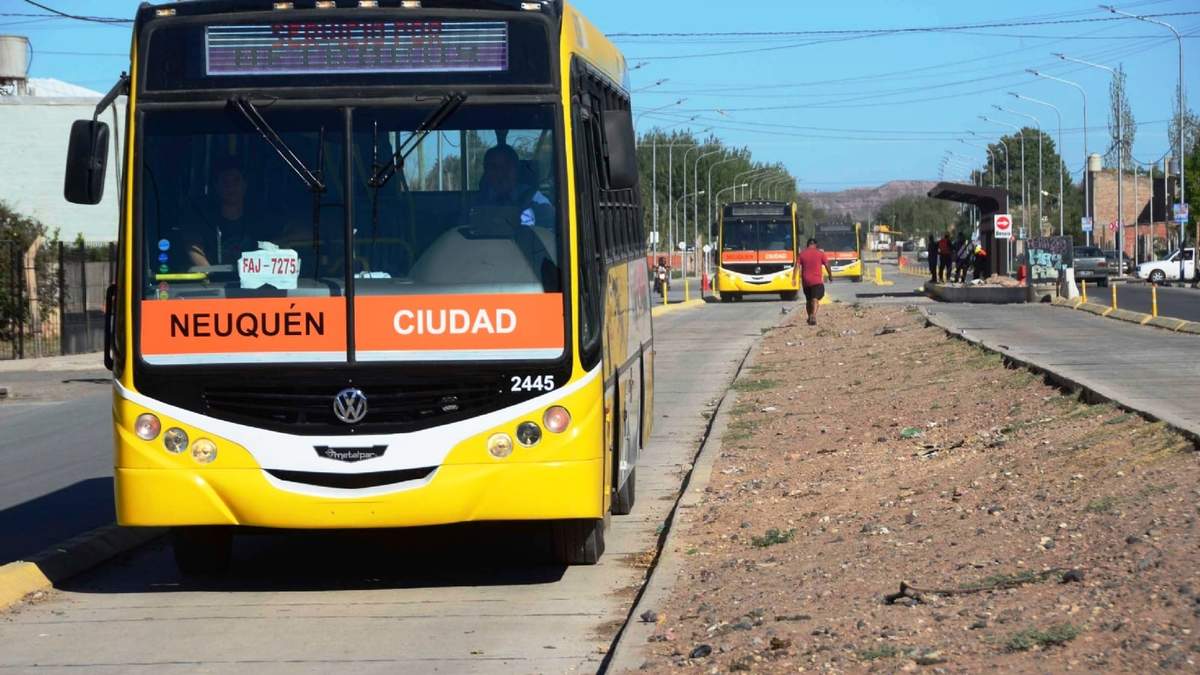 Colectivos en Neuquén Fuente: (Instagram)