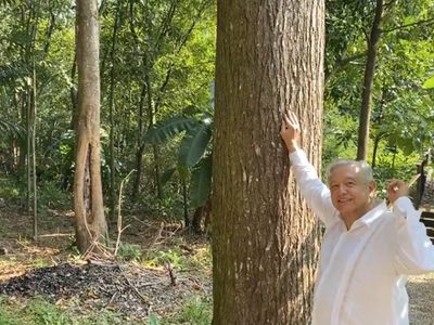 "Escuchen las guacamayas": con este video AMLO agradeció las felicitaciones por su cumpleaños