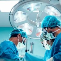Realizan el primer trasplante de riñón de cerdo genéticamente modificado a un hombre de 62 años