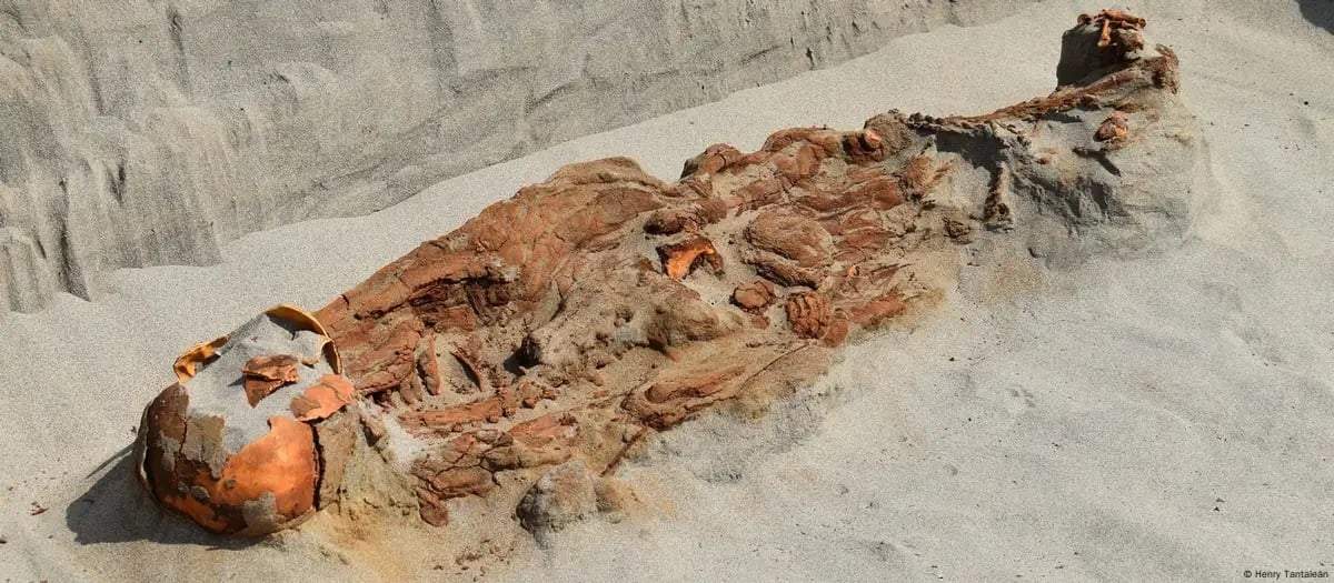 Encontraron una inquietante tumba con cuerpos atados en Perú