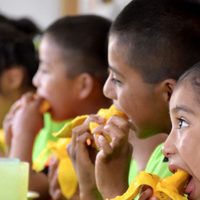 Urgen a la Cámara de Diputados a aprobar la ley de alimentación adecuada y sostenible