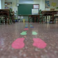 El regreso a las aulas: será progresivo y escalonado