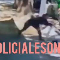 Argentina: Esquizofrénica ataca a adulto mayor que le pidió levantar las heces de su perro (video)