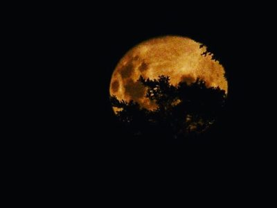 La luna llena de marzo maravilló el cielo de Neuquén