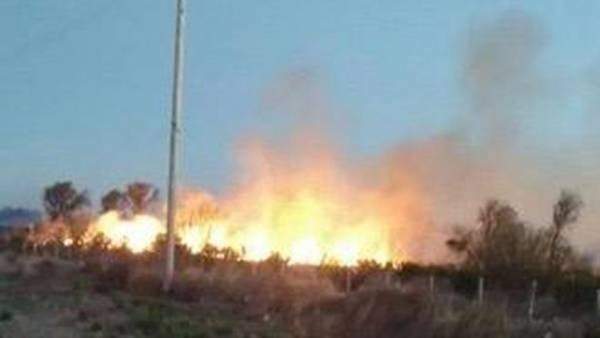 Incendio en Guardia Mitre, Río Negro Fuente: (Instagram)