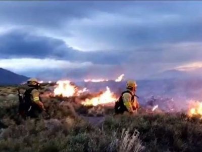 Bomberos y brigadistas lograron extinguir el incendio de pastizales en Zapala