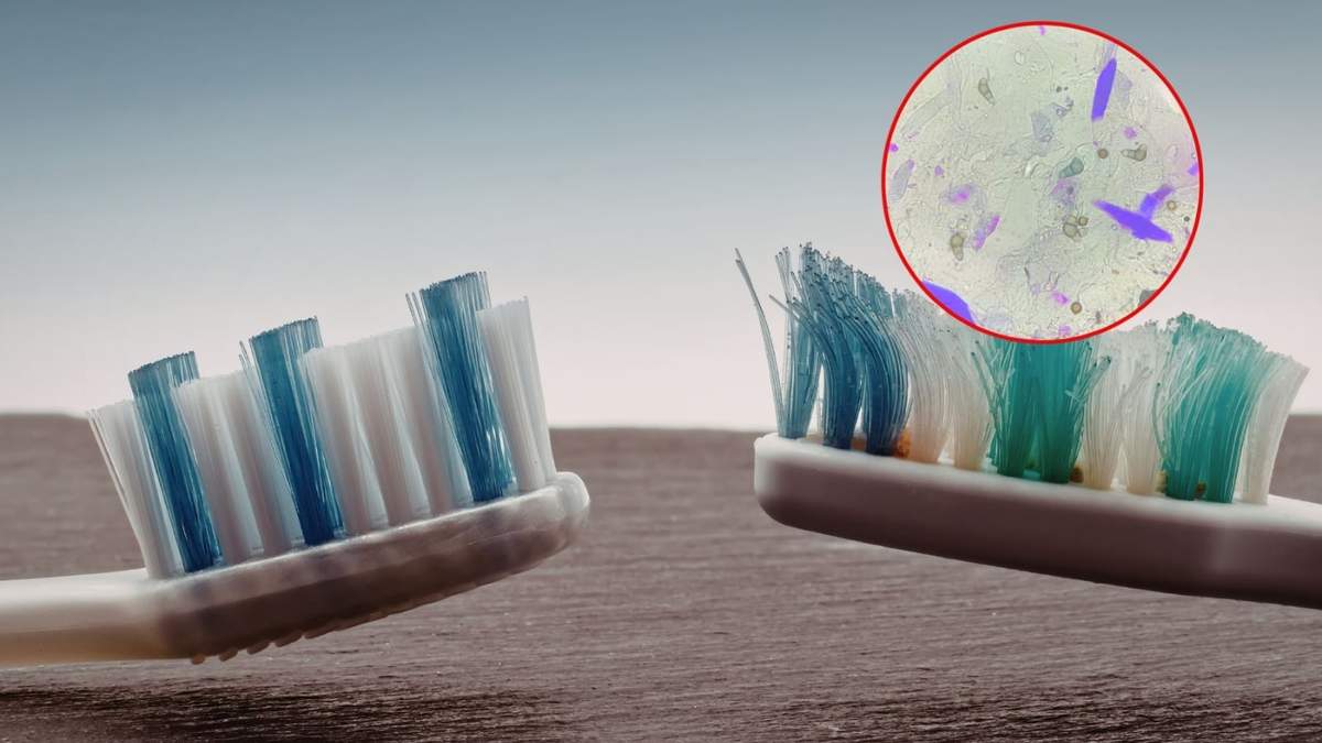 La UNAM explica por qué el cepillo dental puede llenarse de bacterias y qué hacer para desinfectarlo correctamente.