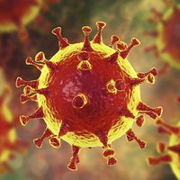 Coronavirus en Río Negro: una nueva víctima fatal y doce nuevos casos positivos