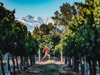 La falta de viajes impacta fuertemente al sector artesanal de las bodegas argentinas
