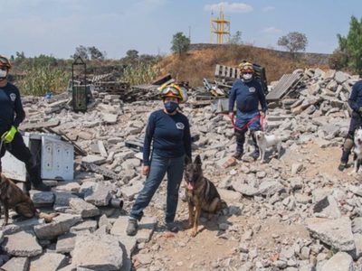 Unidad Canina K9: así es como la UNAM entrena binomios perro-humano para rescate en desastres