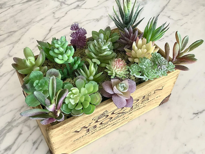 Si no sos bueno con las plantas, hacé estas suculentas artificiales de silicona con solo 2 elementos