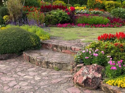 Según el Feng Shui, 3 plantas que son claves para atraer energías positivas a tu hogar