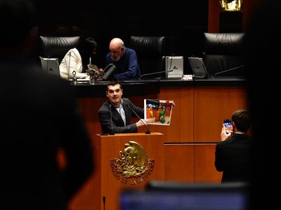 “Limpie su cochinero”: diputados de PAN y Morena se enfrentan por "tráfico de influencias" (Video)