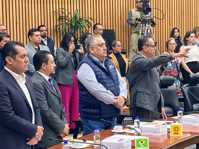 Germán Martínez y Christian Gregorio Díaz llegan por el PAN y PRD al Consejo General del INE