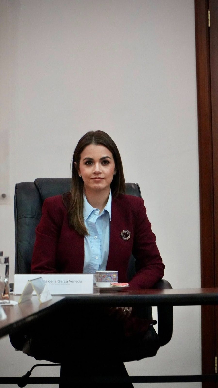 Lorena de la Garza, la diputada entrevistada Foto