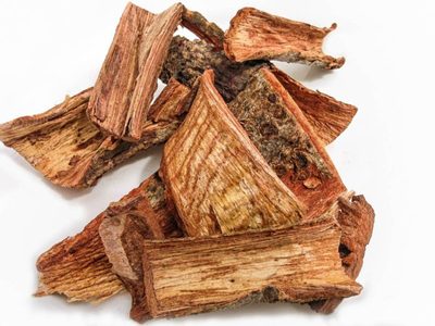 Esta es la planta medicinal mexicana que puede combatir el cáncer