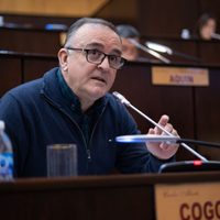 Solicitan al Congreso de la Nación que apruebe una ley para regular los planes de autoahorro