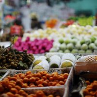Precios de referencia para verduras y frutas: la última decisión del Gobierno