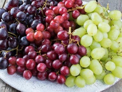 Desarrollan uva de mesa sin semilla, las preferidas de los consumidores