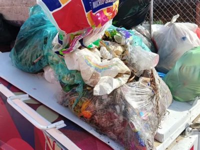 Hallaron carne podrida en un contenedor en pleno centro de Neuquén