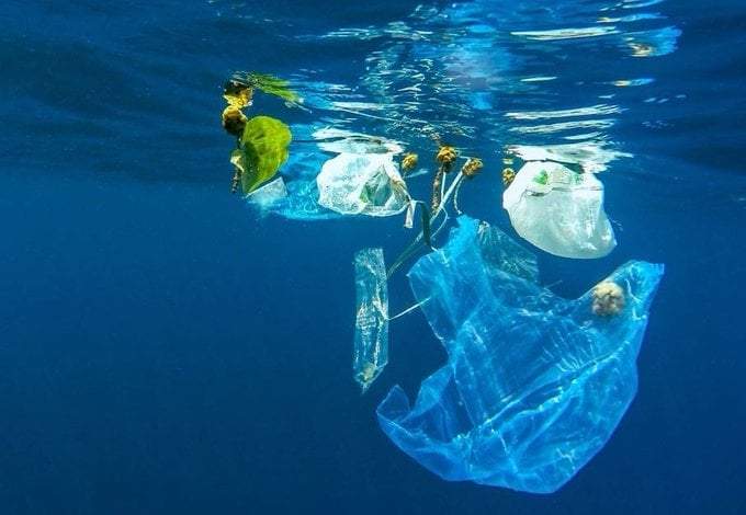 Plástico en el mar. Foto: Twitter @unep_espanol