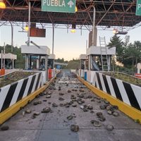 Barbosa procederá contra normalistas que vandalizaron la caseta de Atempan