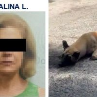 Vinculan a proceso a Catalina “L”, mujer que amarró y arrastró a un perro con su camioneta