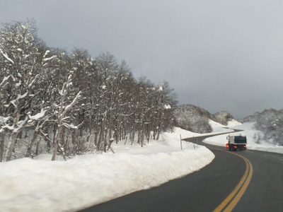 Advierten por el estado de algunas rutas de Neuquén
