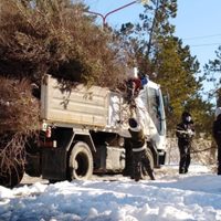 Devastador temporal en Zapala: retiraron más de 30 camiones con ramas y árboles caídos